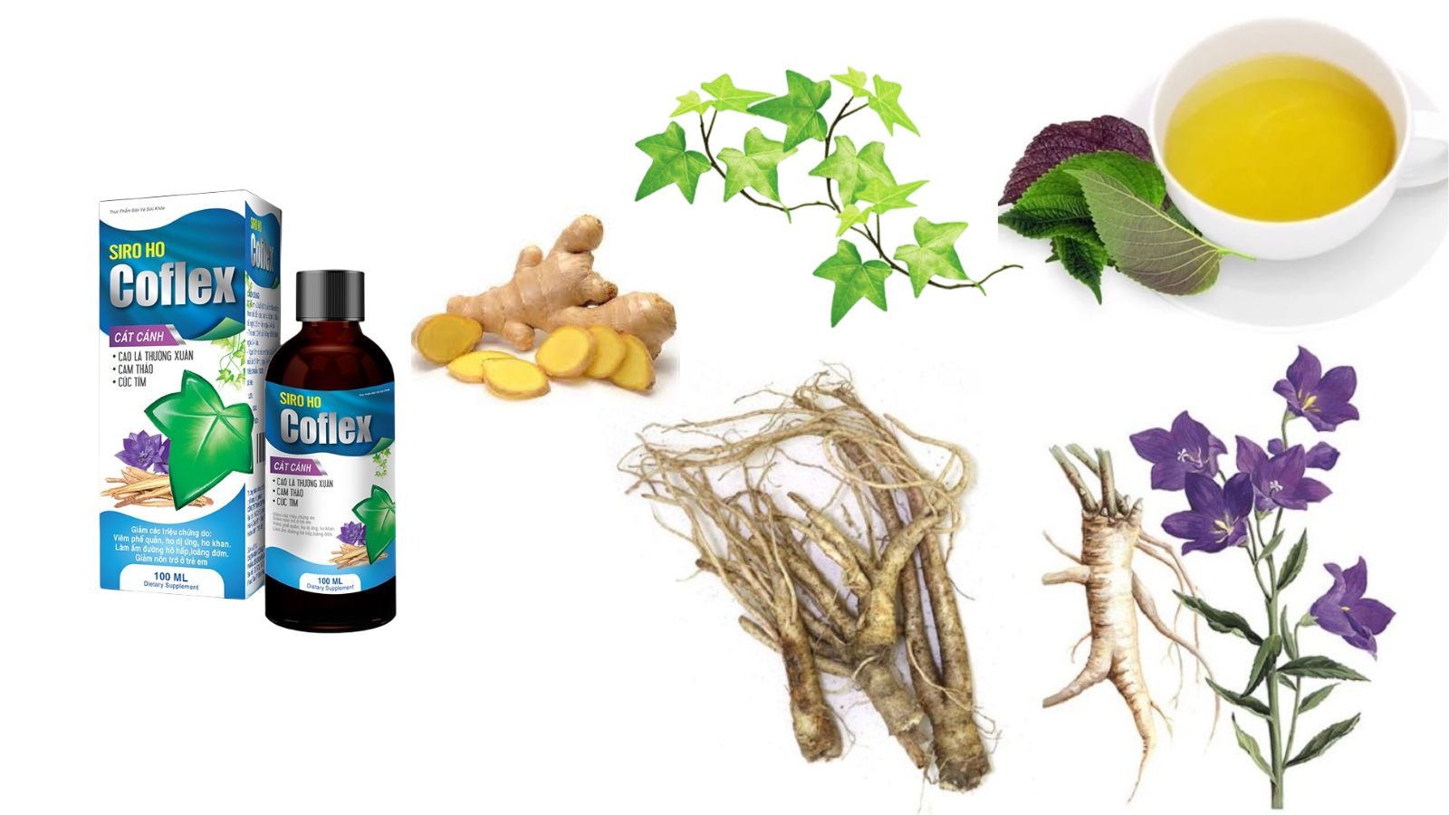 Thành phần chính của Siro Coflex