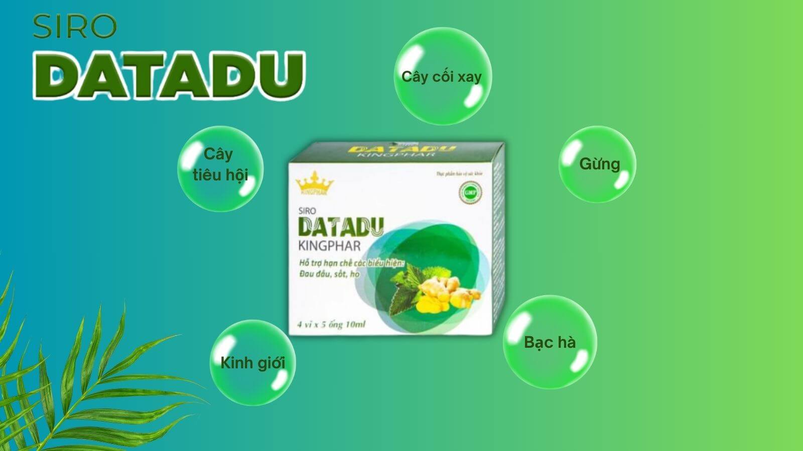 Thành phần có trong 1 ống siro Datadu Kingphar