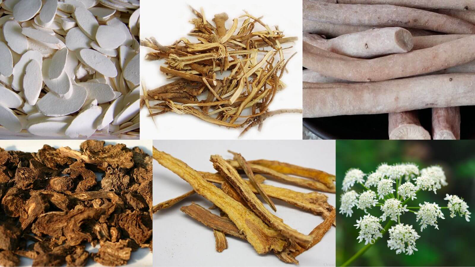 Siro Fitenka giúp thanh nhiệt, giải cảm hiệu quả