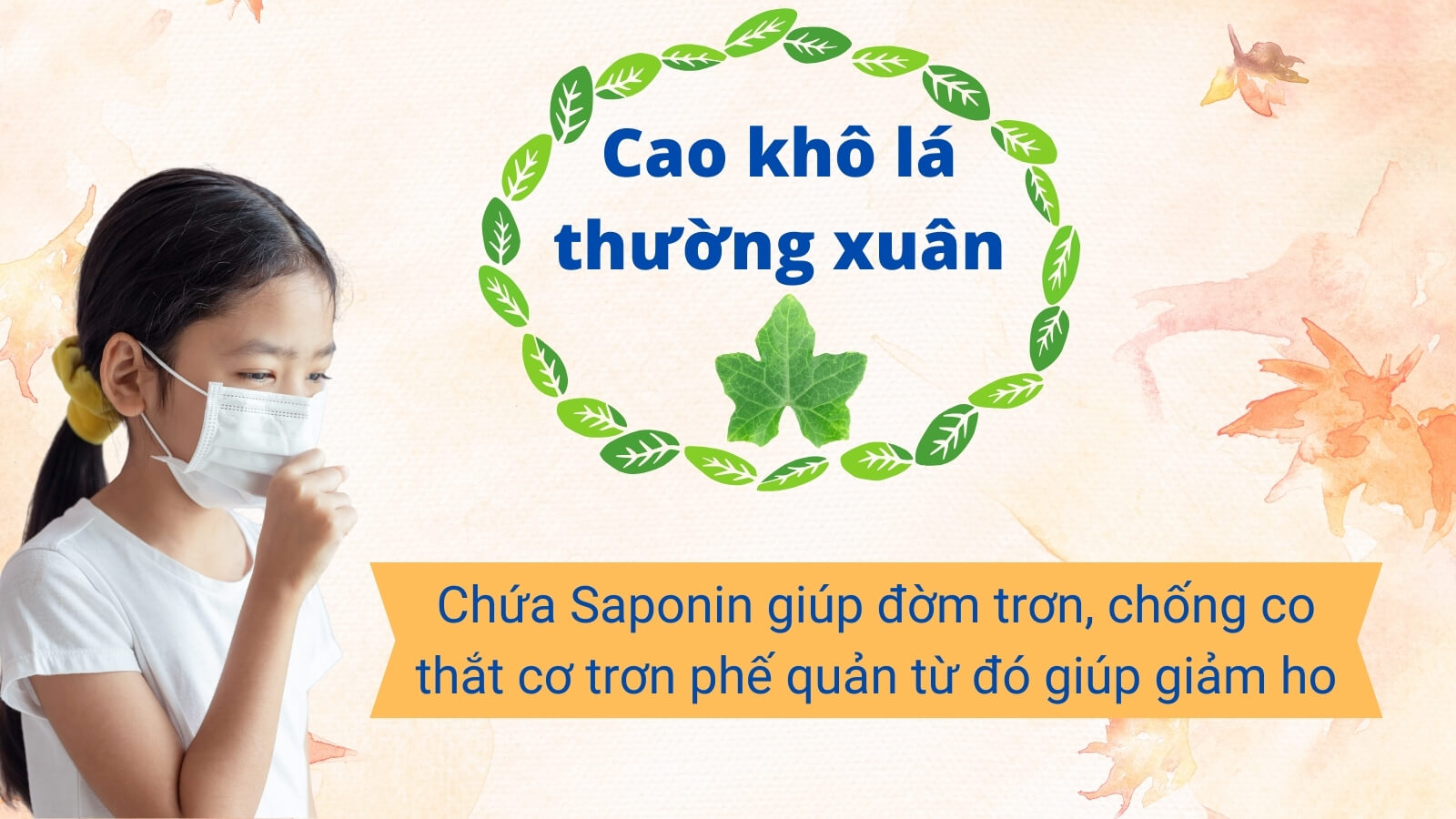 Cao lá thường xuân giúp giảm ho, tiêu nhầy