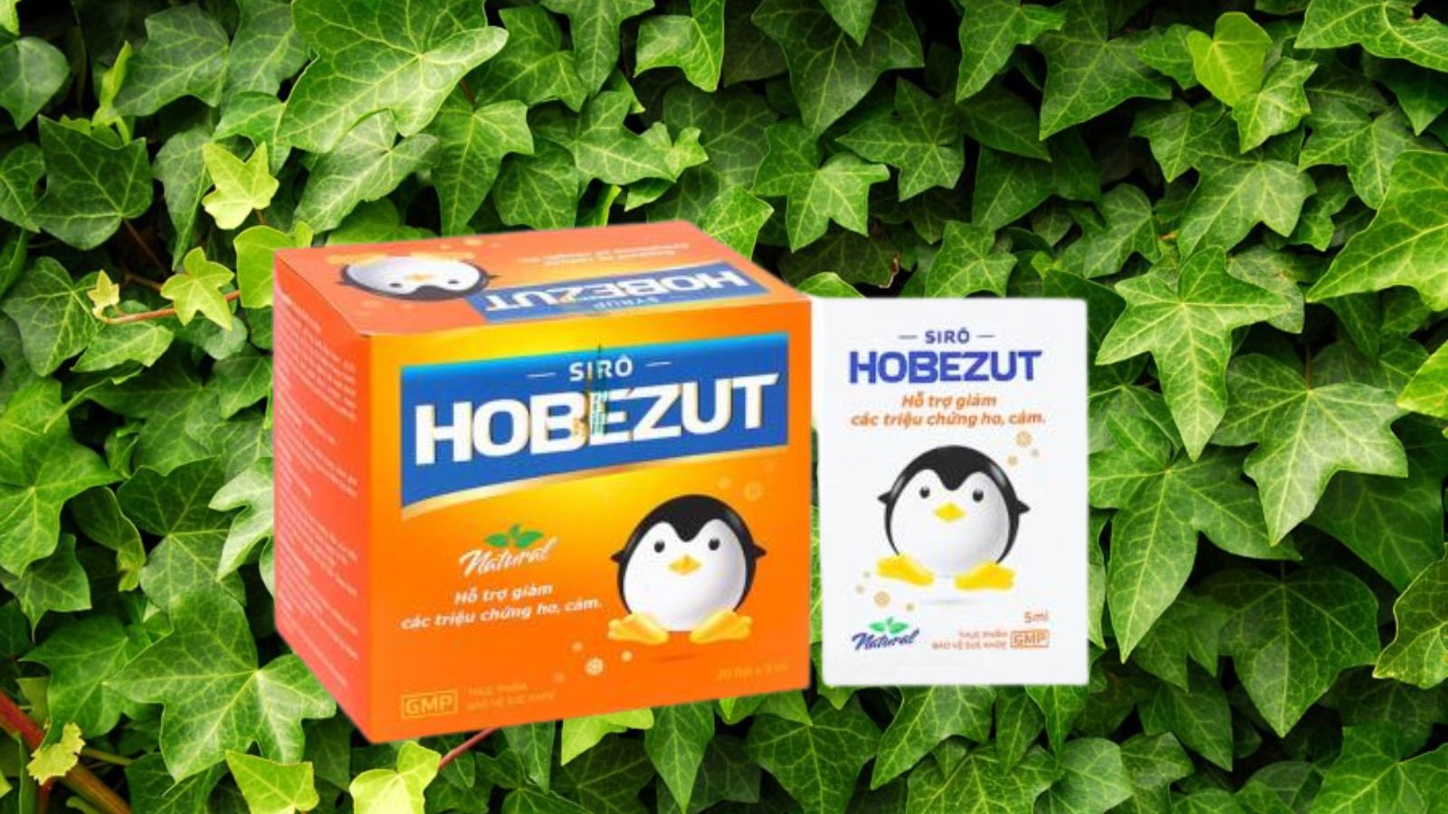    Siro Hobezut gói - Hỗ trợ giảm ho