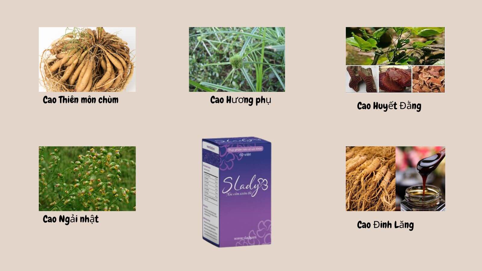    Slady chứa các thảo dược thiên nhiên