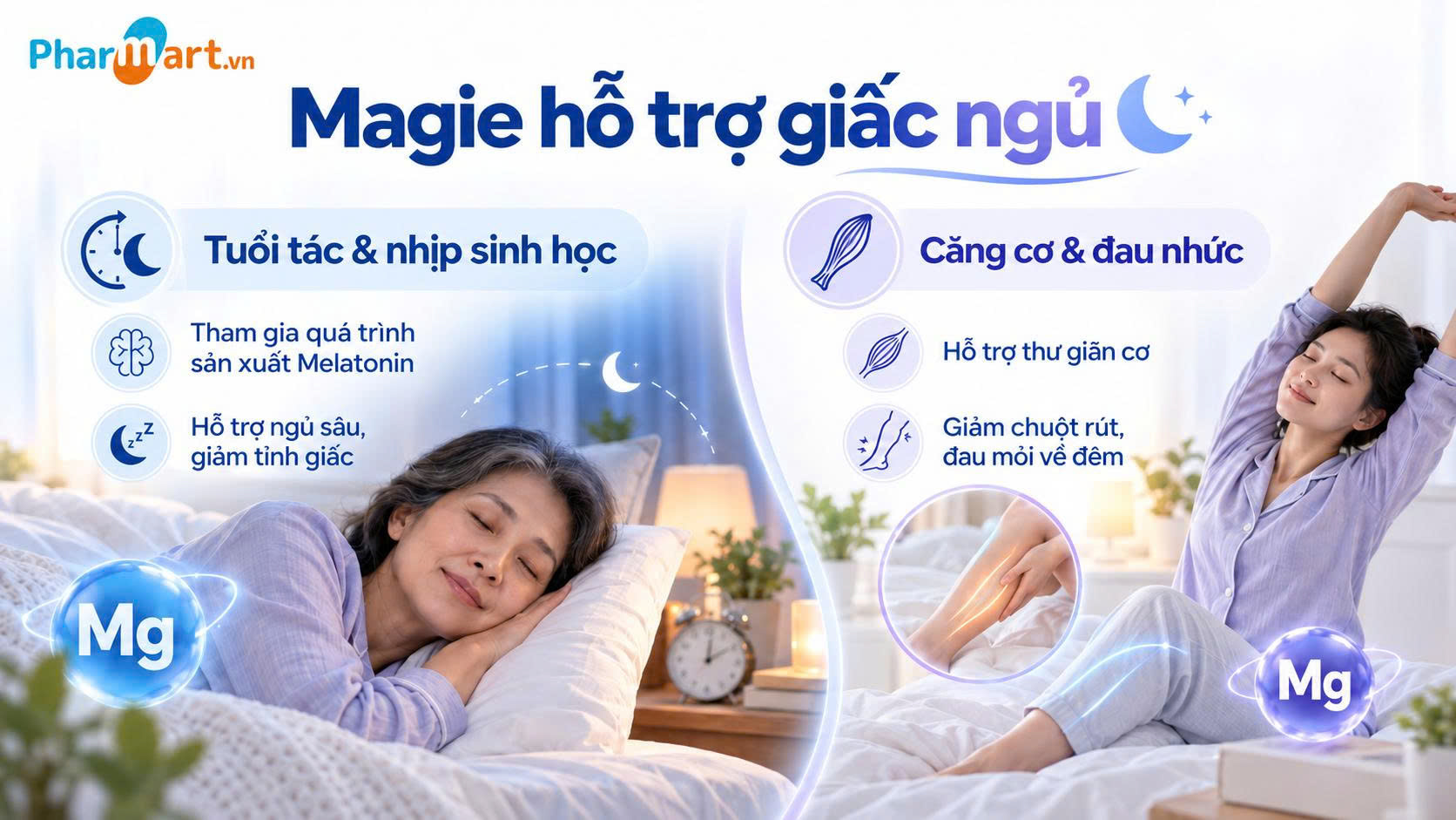 Magie c&ograve;n tham gia v&agrave;o qu&aacute; tr&igrave;nh sản xuất Melatonin, hỗ trợ thư gi&atilde;n cơ