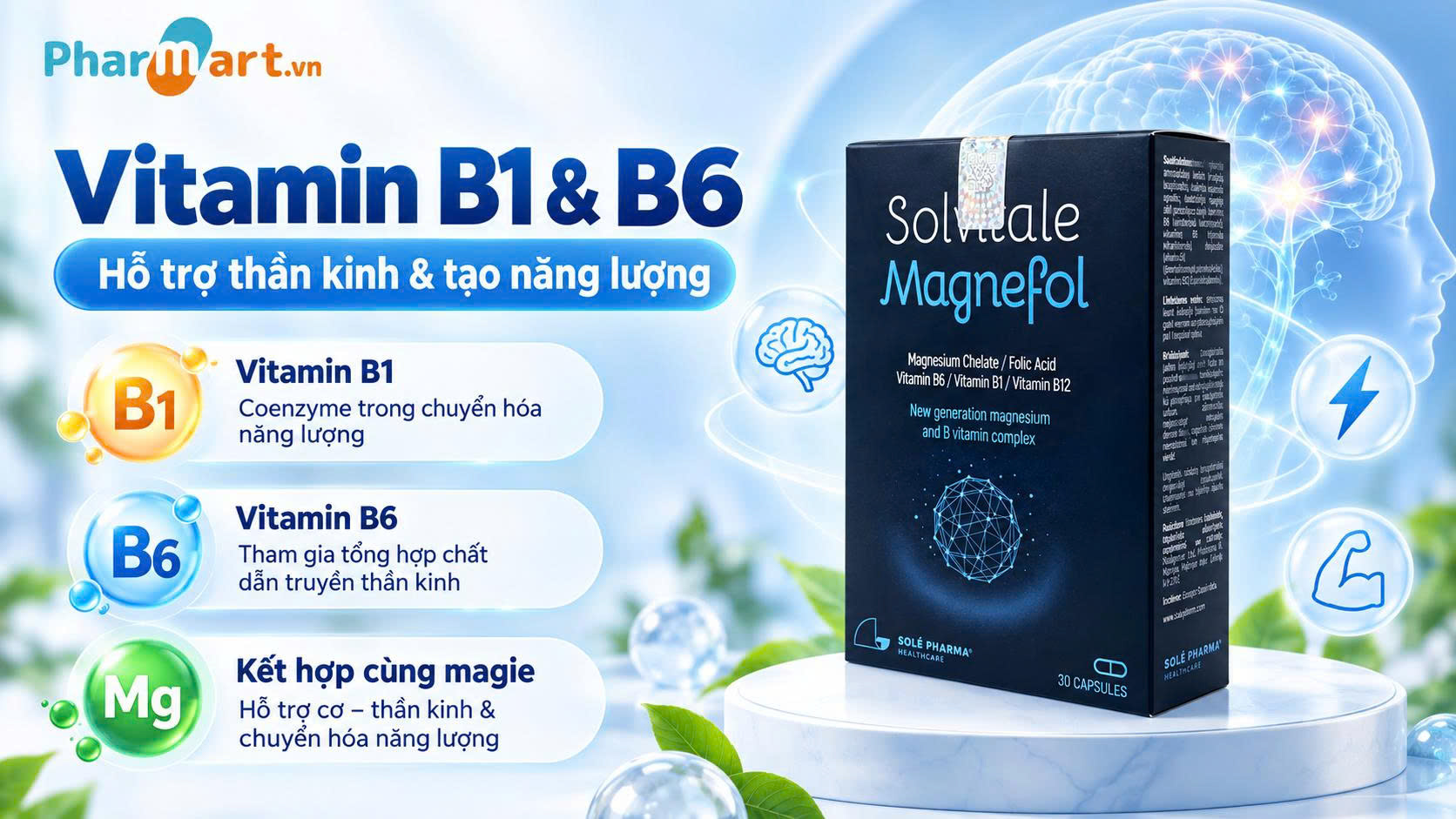 Vitamin B1, B6 kết hợp c&ugrave;ng Magie hỗ trợ cơ - thần kinh v&agrave; chuyển h&oacute;a năng lượng