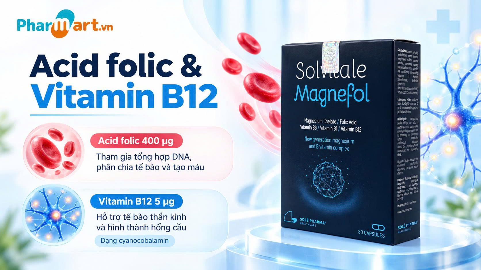 Acid Folic v&agrave; Vitamin B12 hỗ trợ qu&aacute; tr&igrave;nh h&igrave;nh th&agrave;nh tế b&agrave;o thần kinh, tạo m&aacute;u