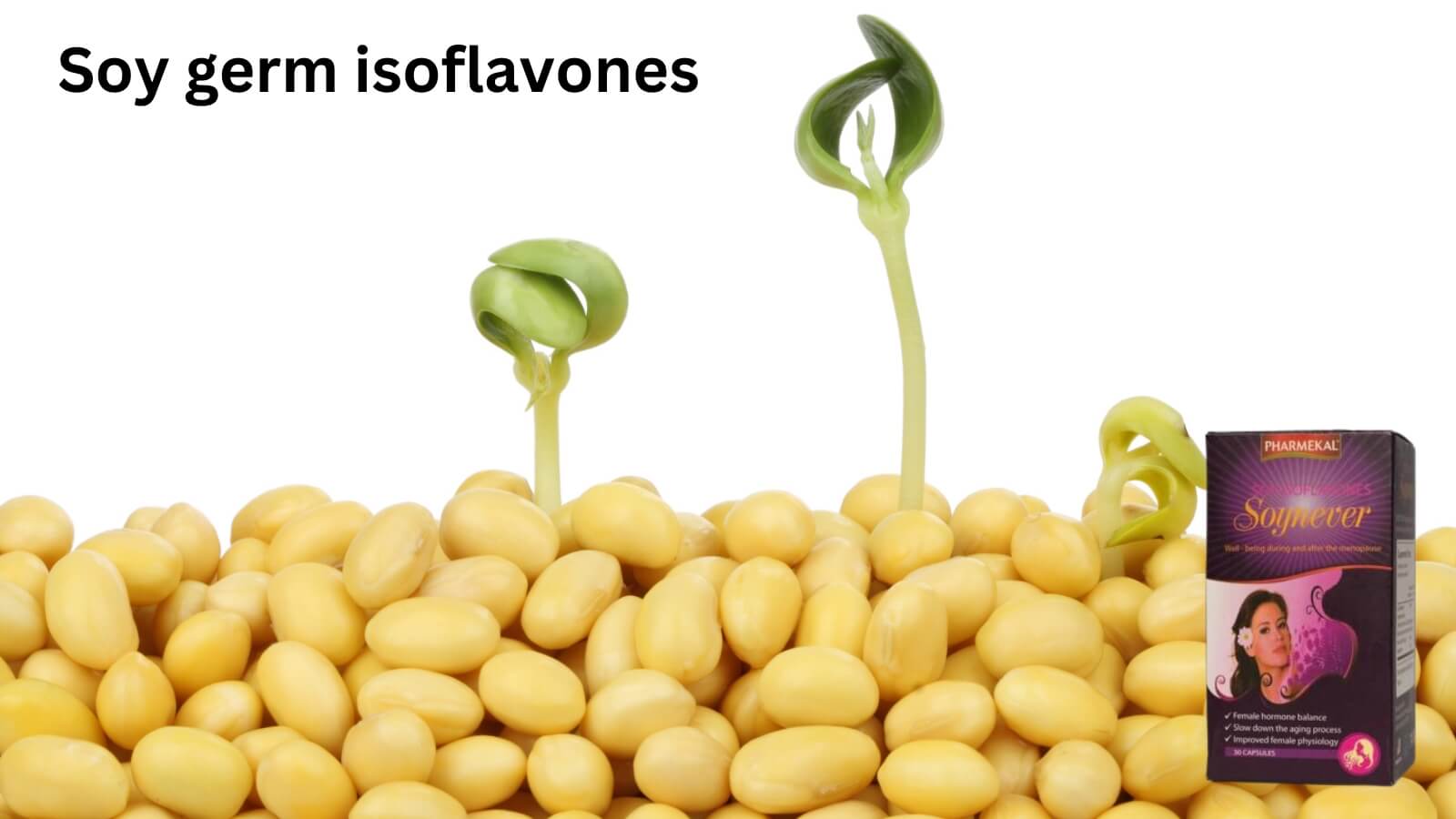 Soy germ isoflavones là thành phần chính có trong Soynever