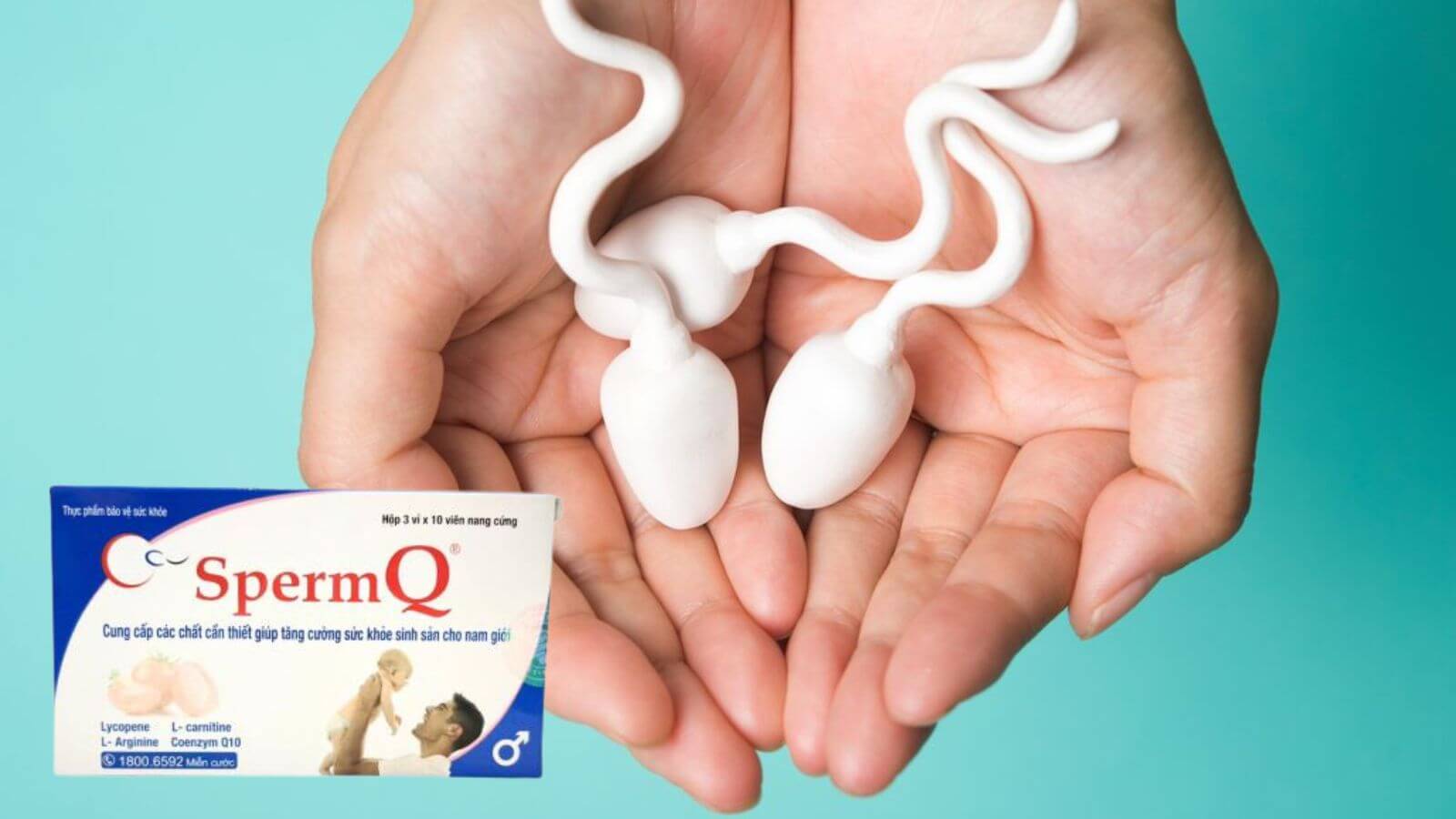 Sperm Q - Hỗ trợ sinh sản ở nam giới (30 viên)