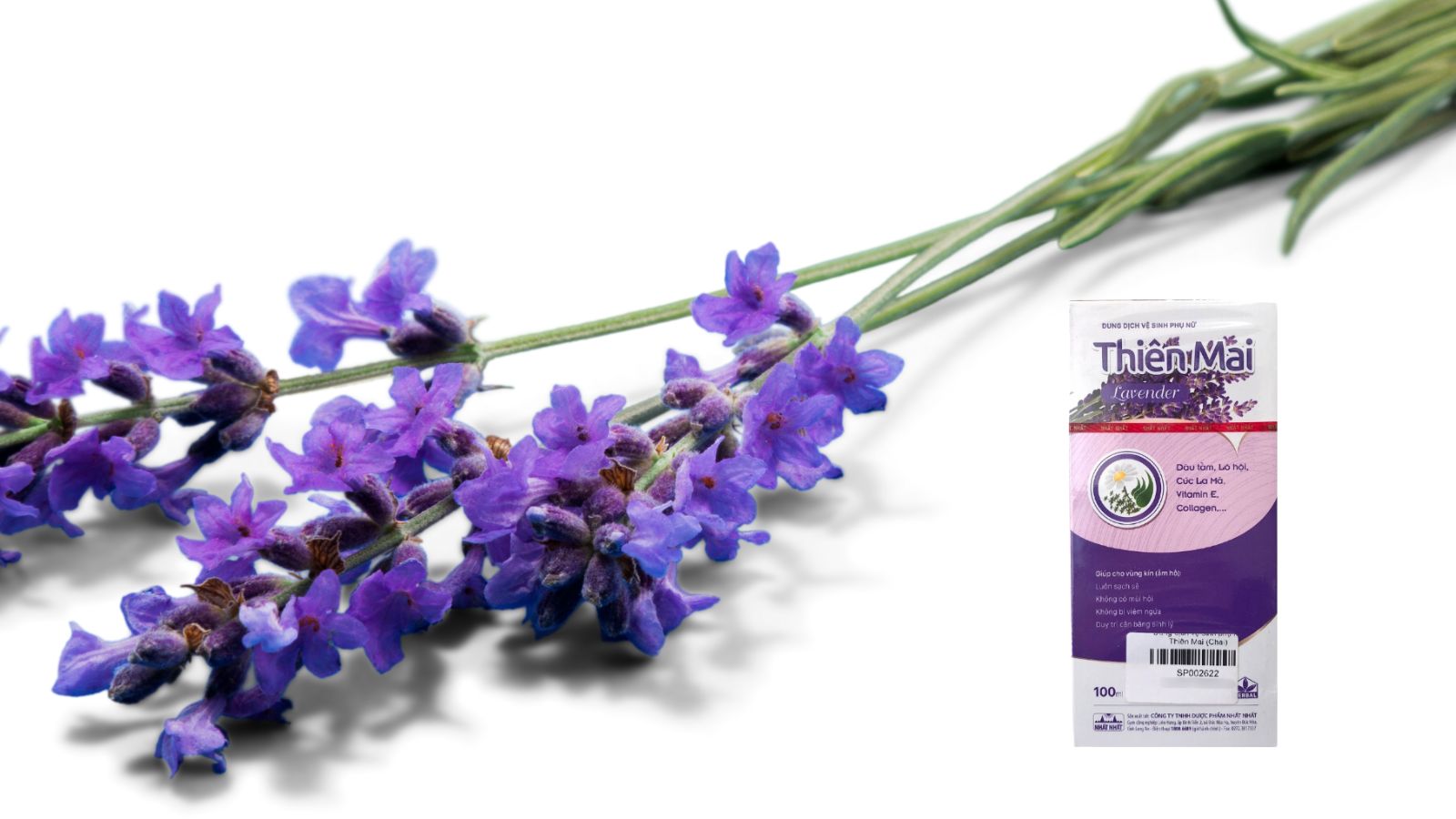 Dung dịch vệ sinh phụ nữ Thiên Mai Lavender - Làm sạch, khử mùi và bảo vệ vùng kín 