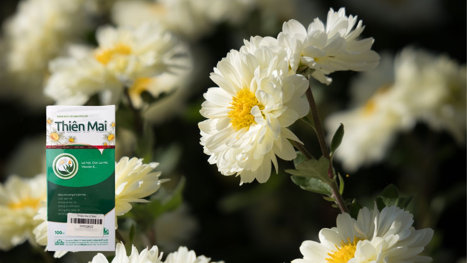 Dung dịch vệ sinh Thiên Mai Xanh - Làm sạch dịu nhẹ, kháng khuẩn, dưỡng ẩm