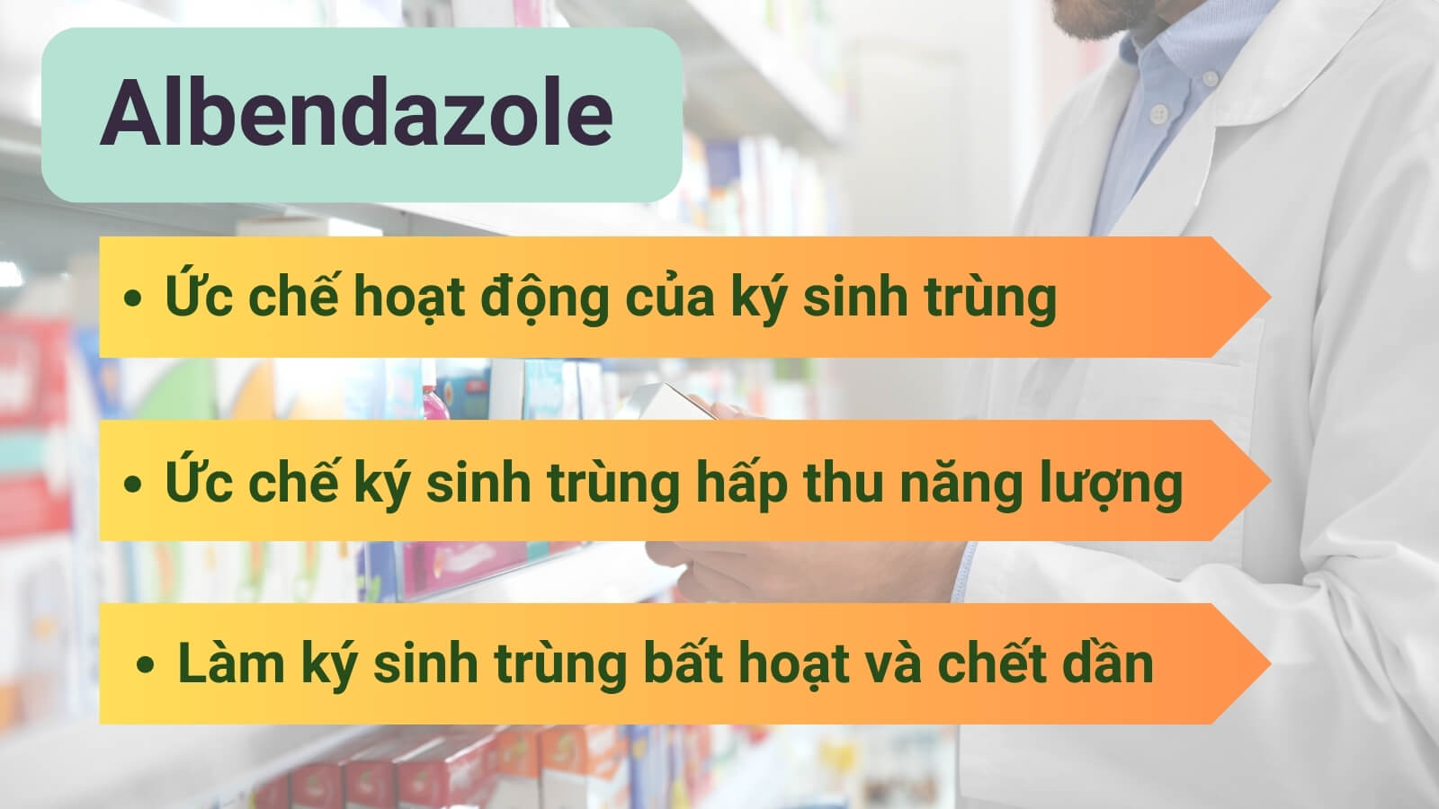 Albendazole giúp trị giun sán hiệu quả