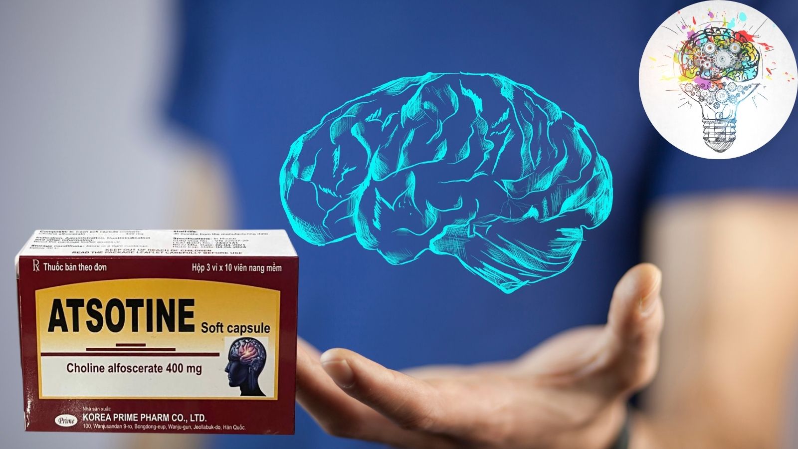Cholin alfoscerat thành phần chính của viên Atsotine