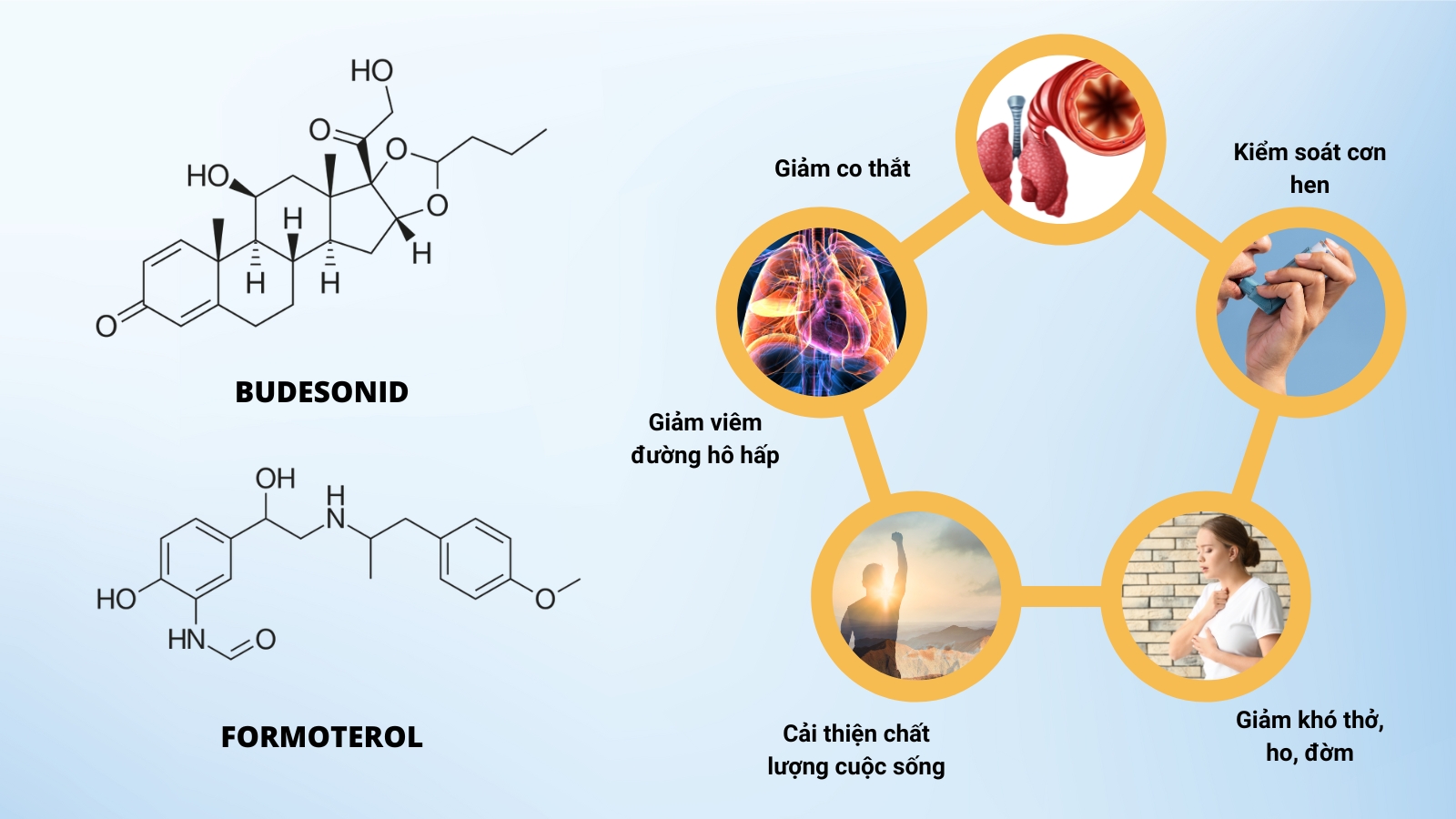 Thành phần và công dụng của thuốc bột Symbicort Rapihaler