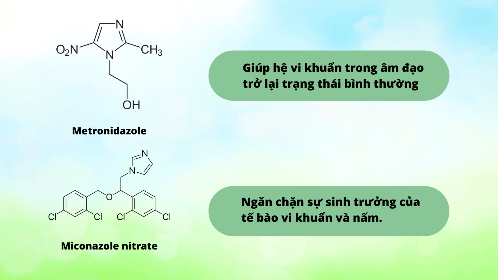  Metronidazole là một dẫn chất của Imidazole và có phổ hoạt tính kháng khuẩn rộng.