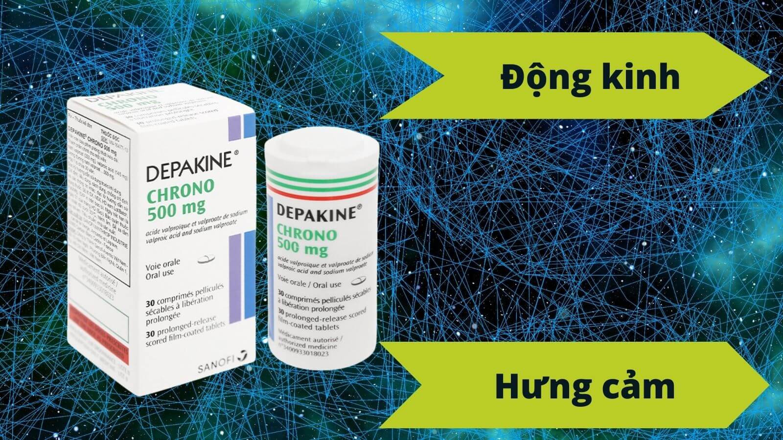 Depakine Chroho 500 - thuốc điều trị động kinh, hưng cảm