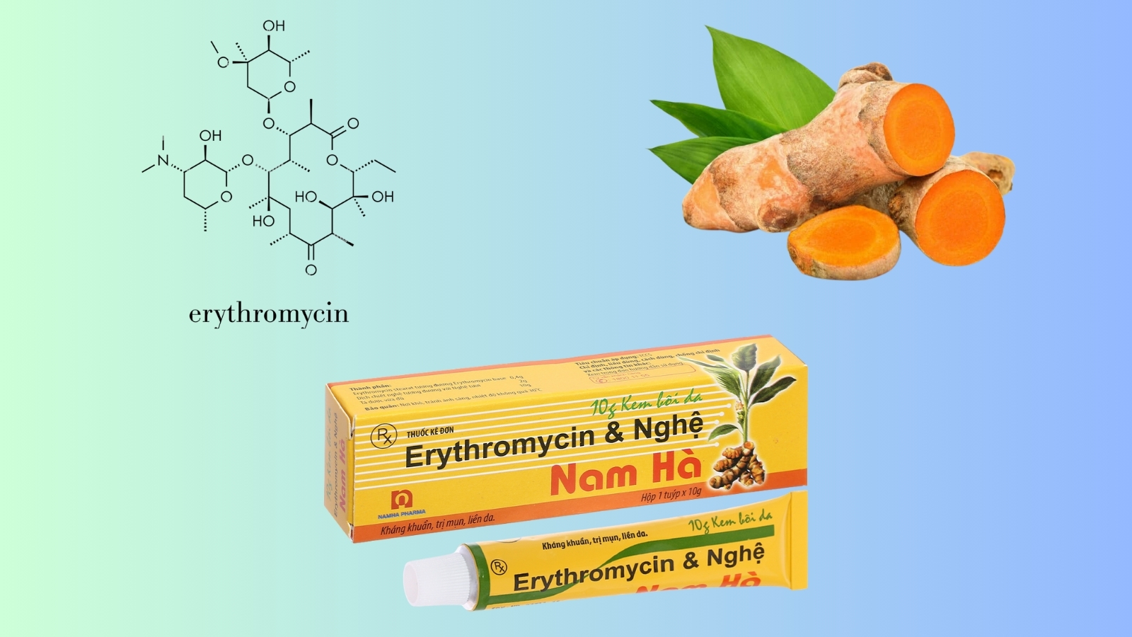 Thành phần cấu tạo Kem Nam Hà gồm Erythromycin và nghệ tươi