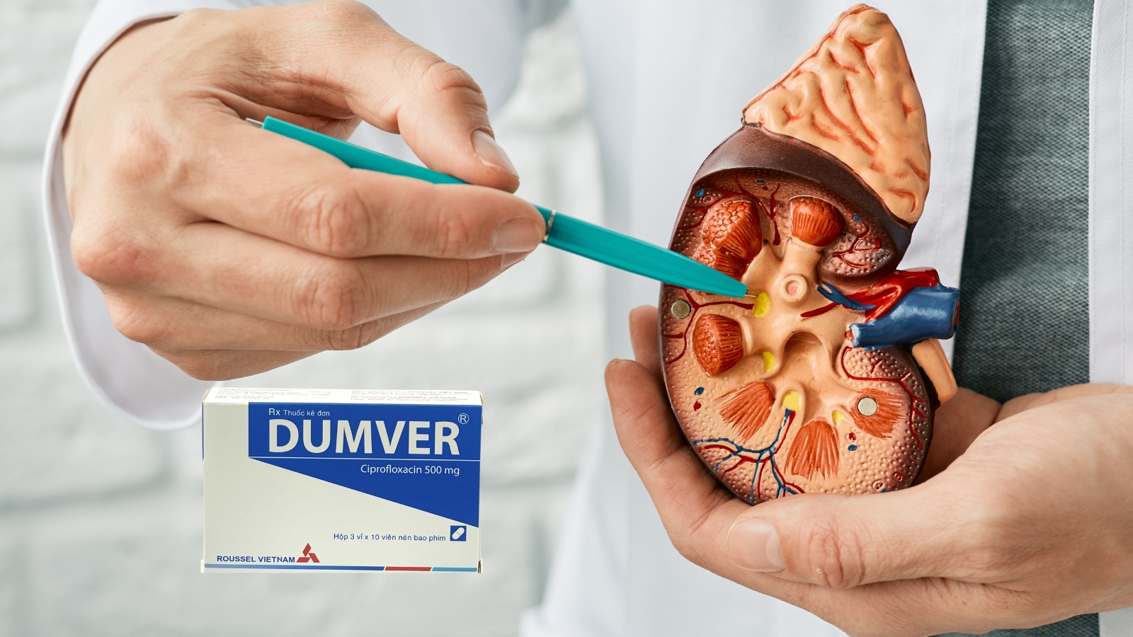 Ciprofloxacin trong Dumver chuyên dùng điều trị các nhiễm khuẩn tại thận