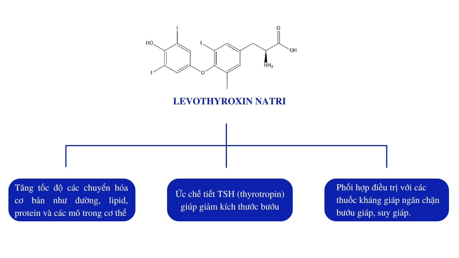 Levothyroxin tăng cường hormone tuyến giáp cho cơ thể