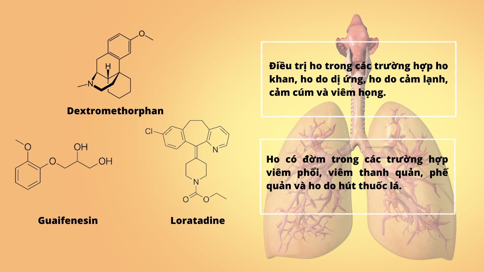Gồm ba thành phần có tác dụng giảm ho, long đờm