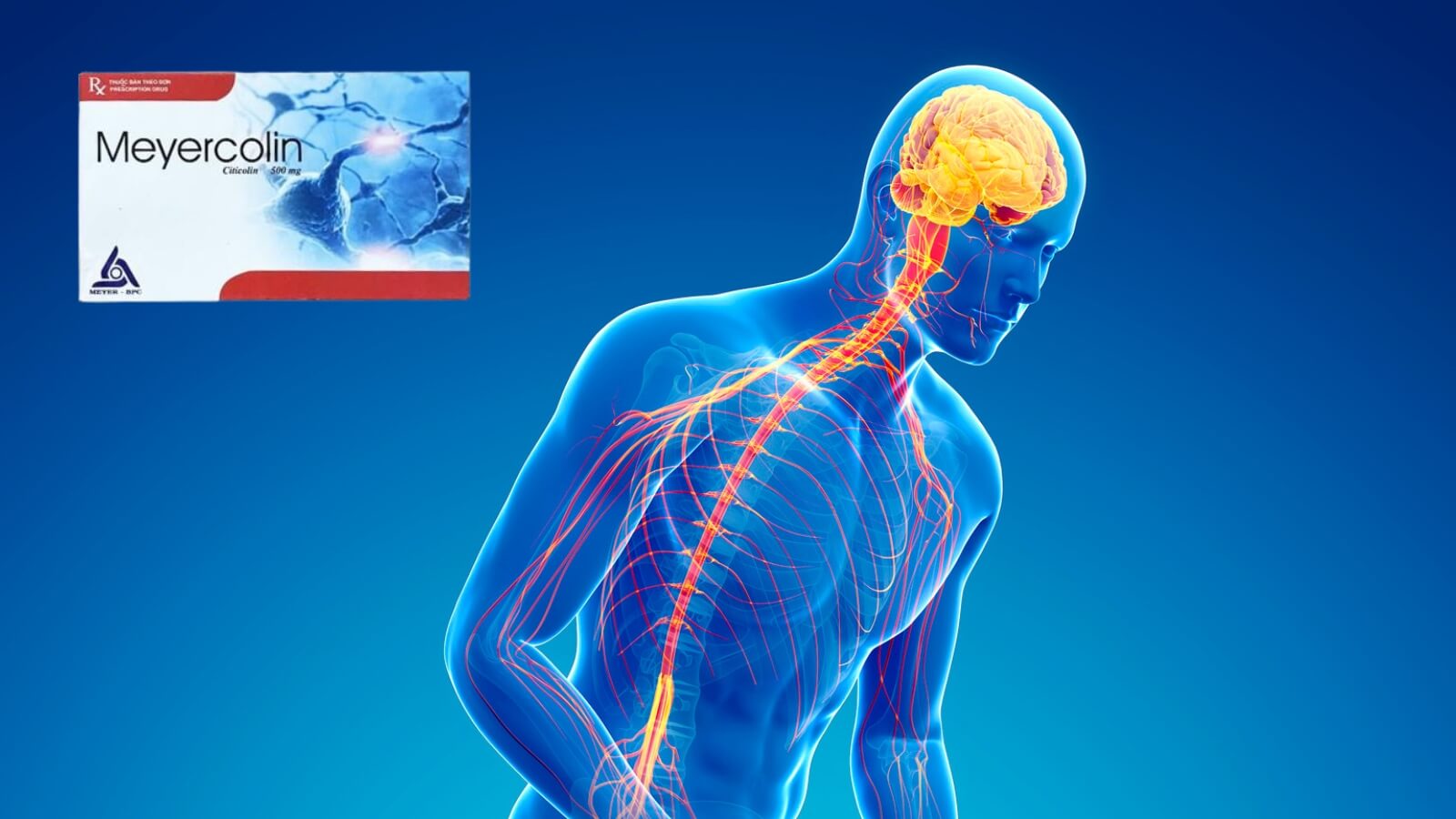 Thuốc Meyercolin 500mg có tác dụng điều trị bệnh Parkinson hiệu quả