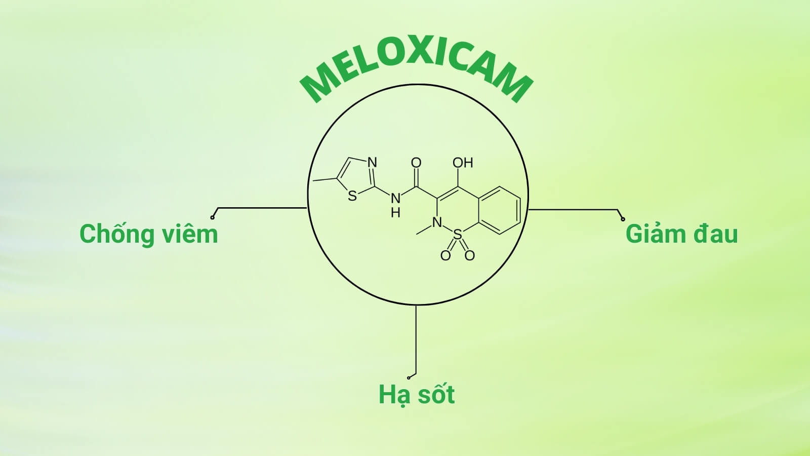 Meloxicam là một loại hoạt chất chống viêm không steroid (NSAID)