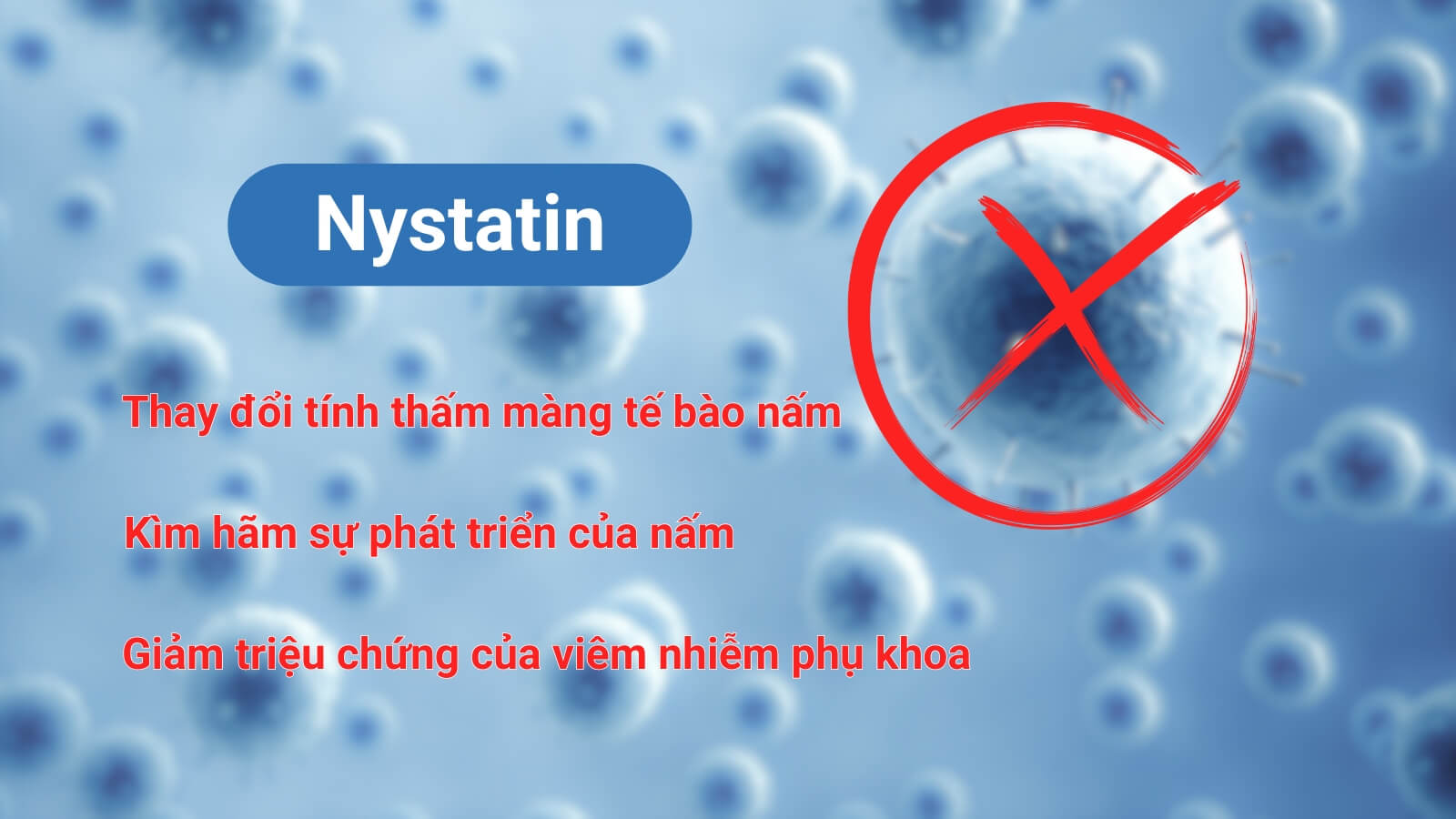 Nystatin có tác dụng diệt tế bào nấm hiệu quả