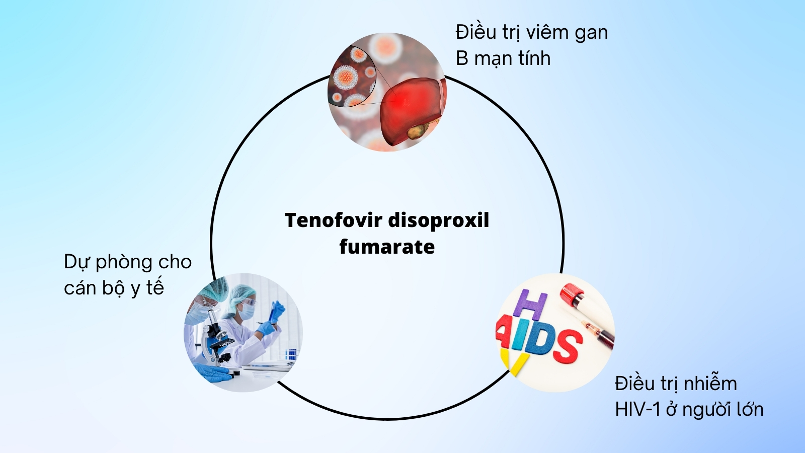 Giúp ngăn chặn việc nhân lên của chúng trong cơ thể con người. 