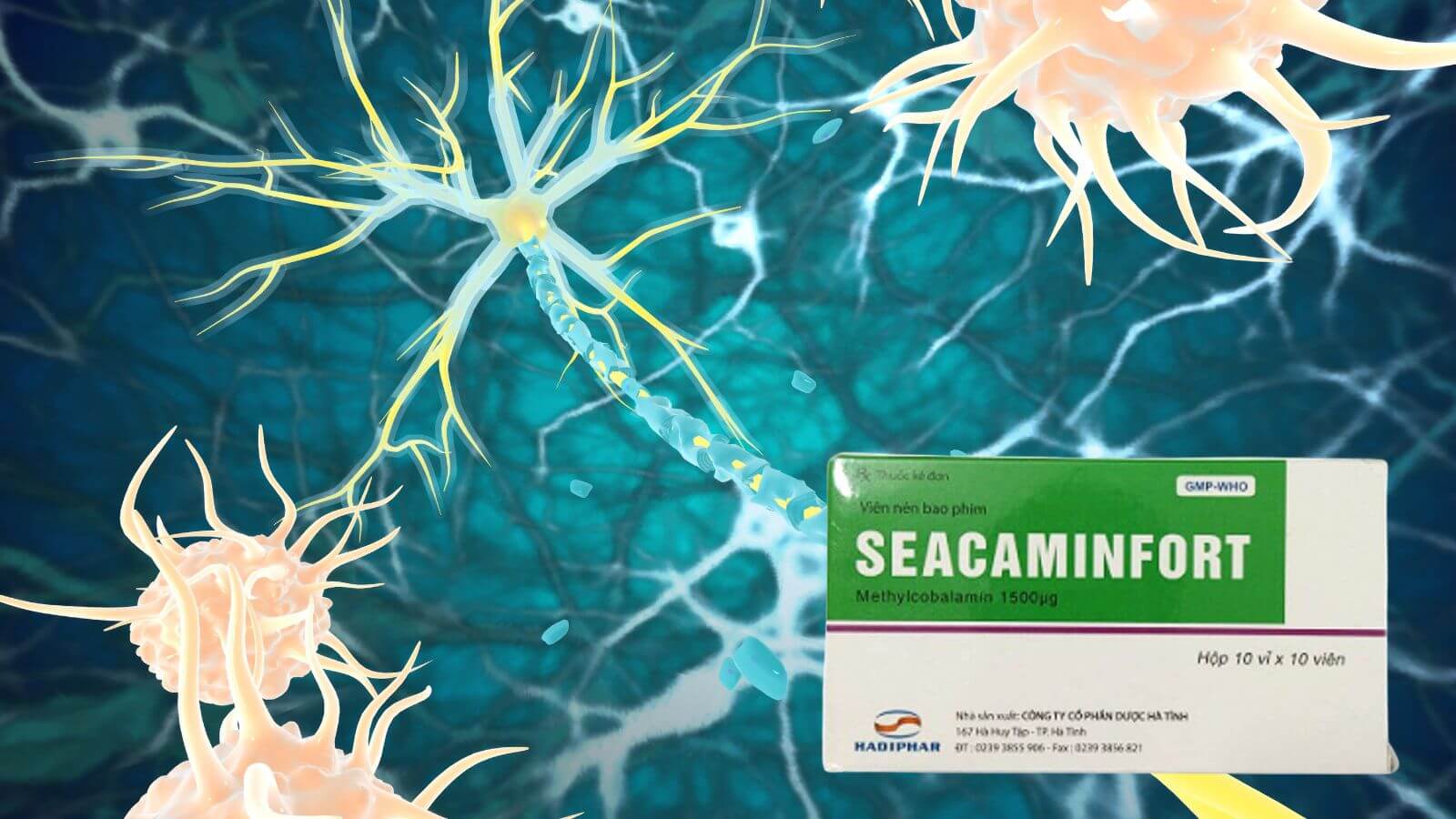 Seacaminfort giúp bảo vệ và phục hồi chức năng thần kinh, đặc biệt trường hợp suy giảm dẫn truyền thần kinh