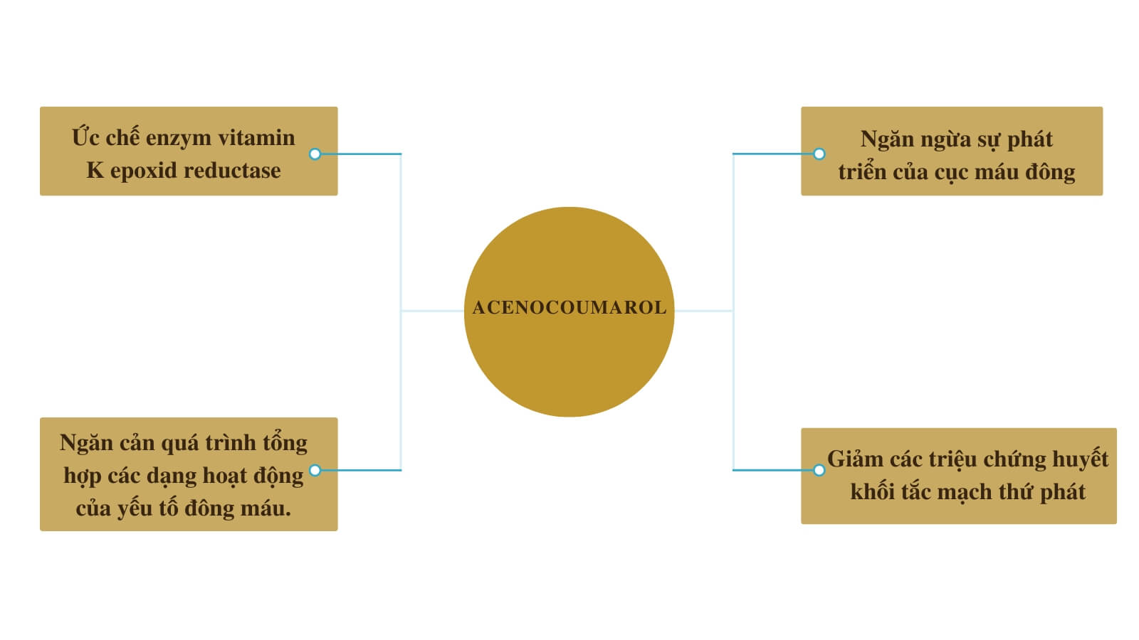 Acenocoumarol chống đông máu và giảm huyết khối tắc mạch