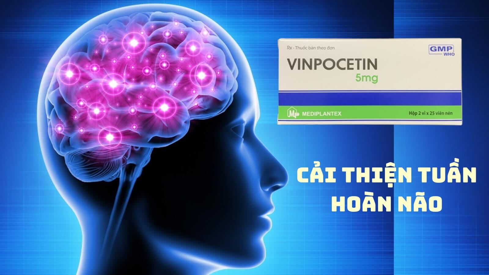 Vinpocetin 5mg - Cải thiện tuần hoàn não
