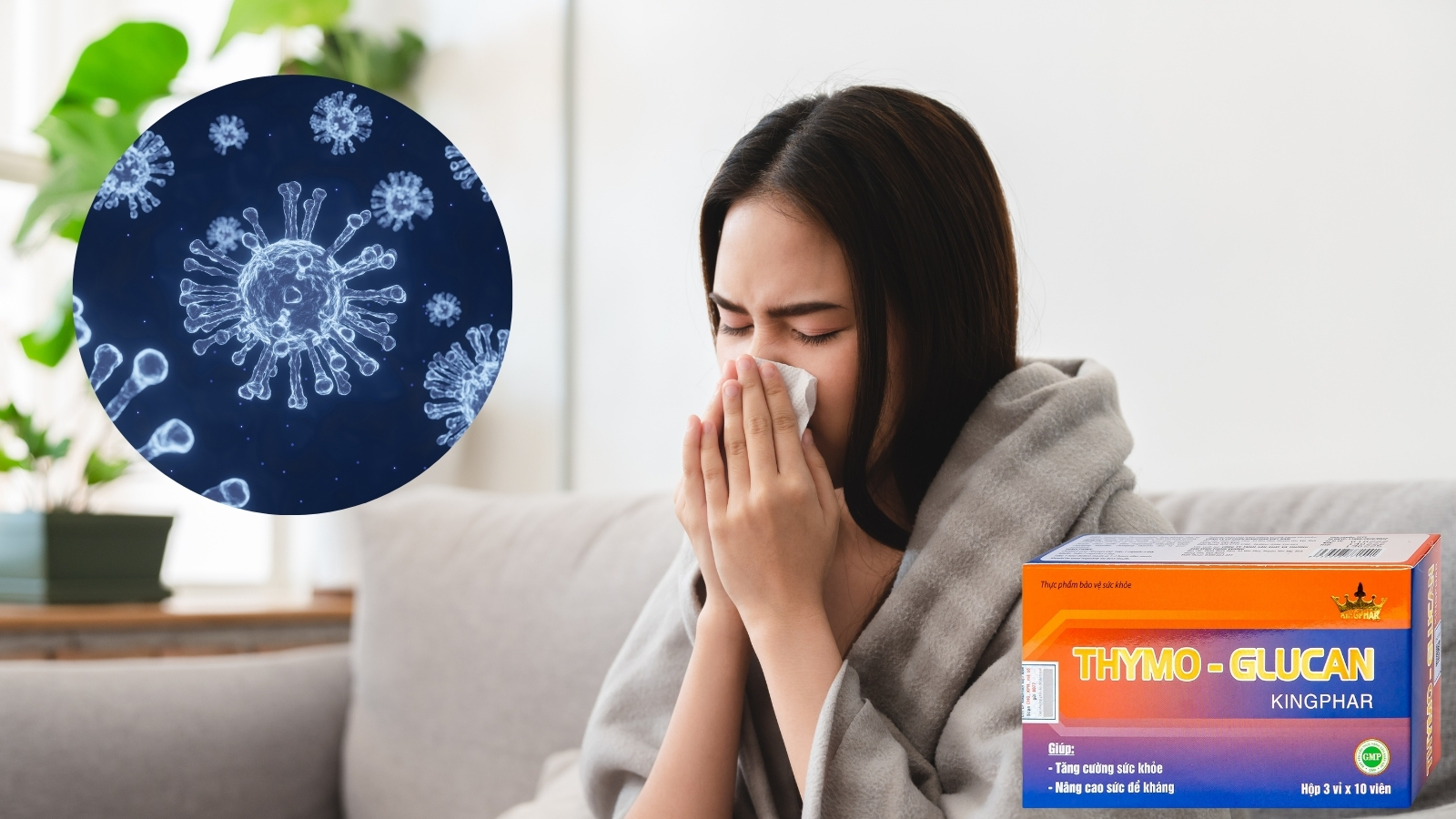 Viên uống Thymo-Glucan Kingphar giúp tăng cường sức đề kháng, nâng cao sức khỏe 