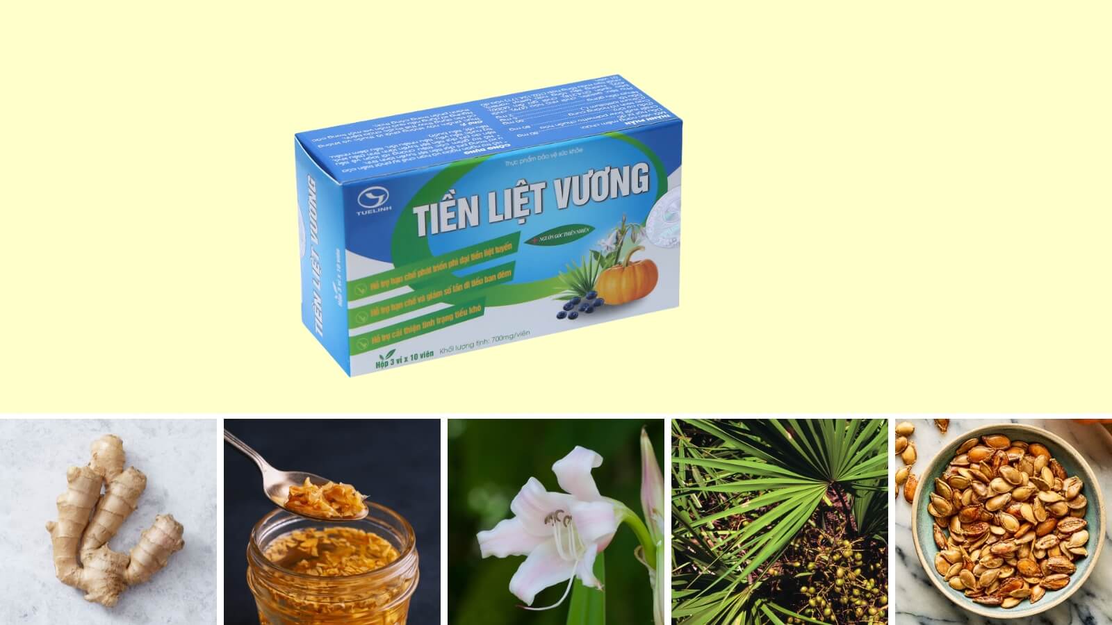 Các thành phần có trong Tiền Liệt Vương