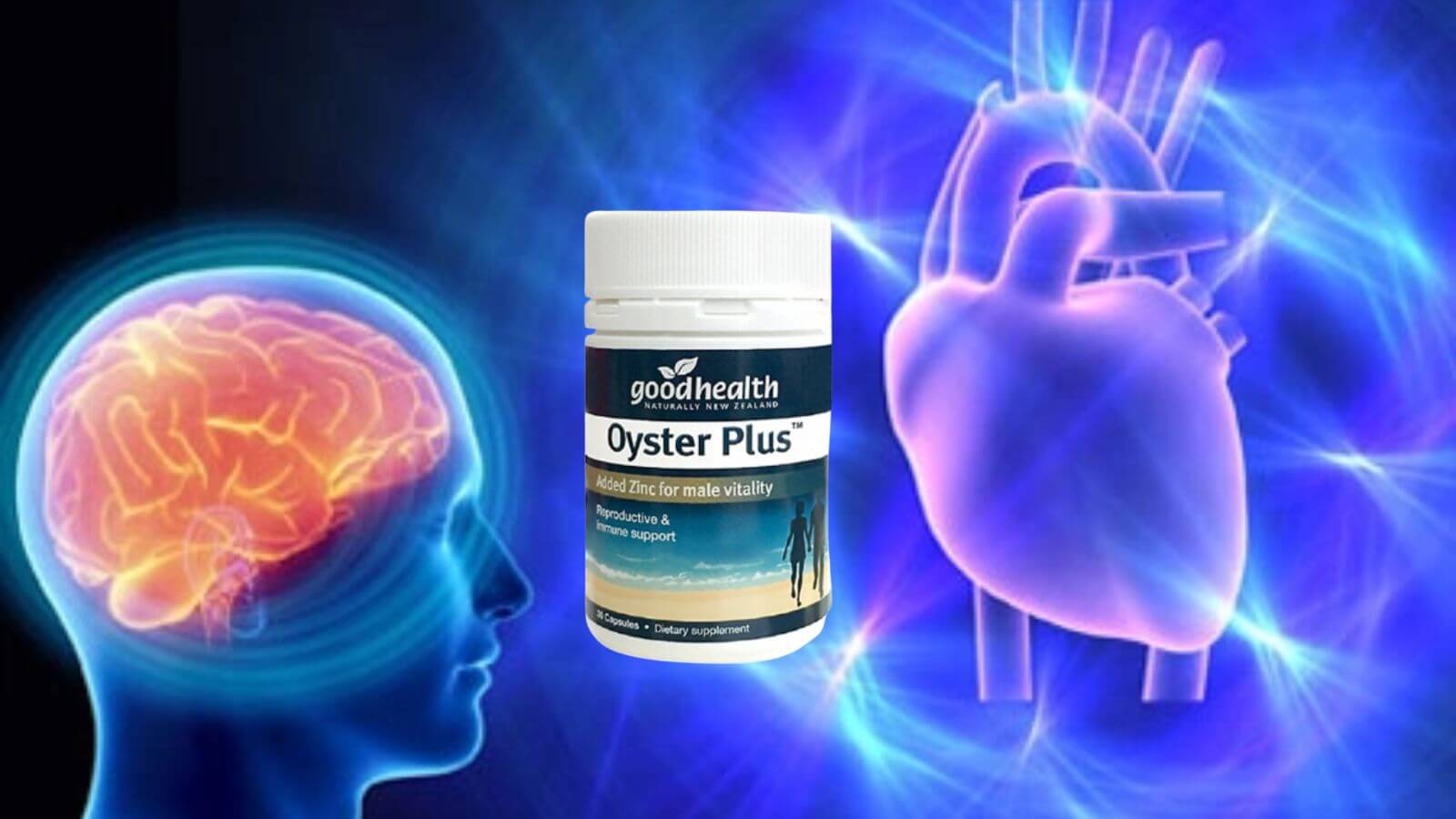 Oyster Plus giúp tăng cường tim mạch và cải thiện trí nhớ