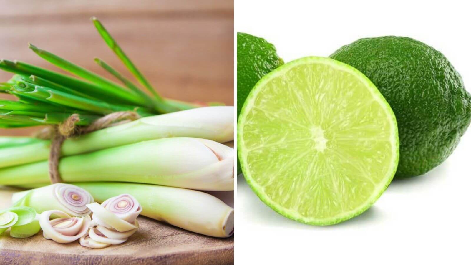 Thành phần chính của tinh dầu sả chanh