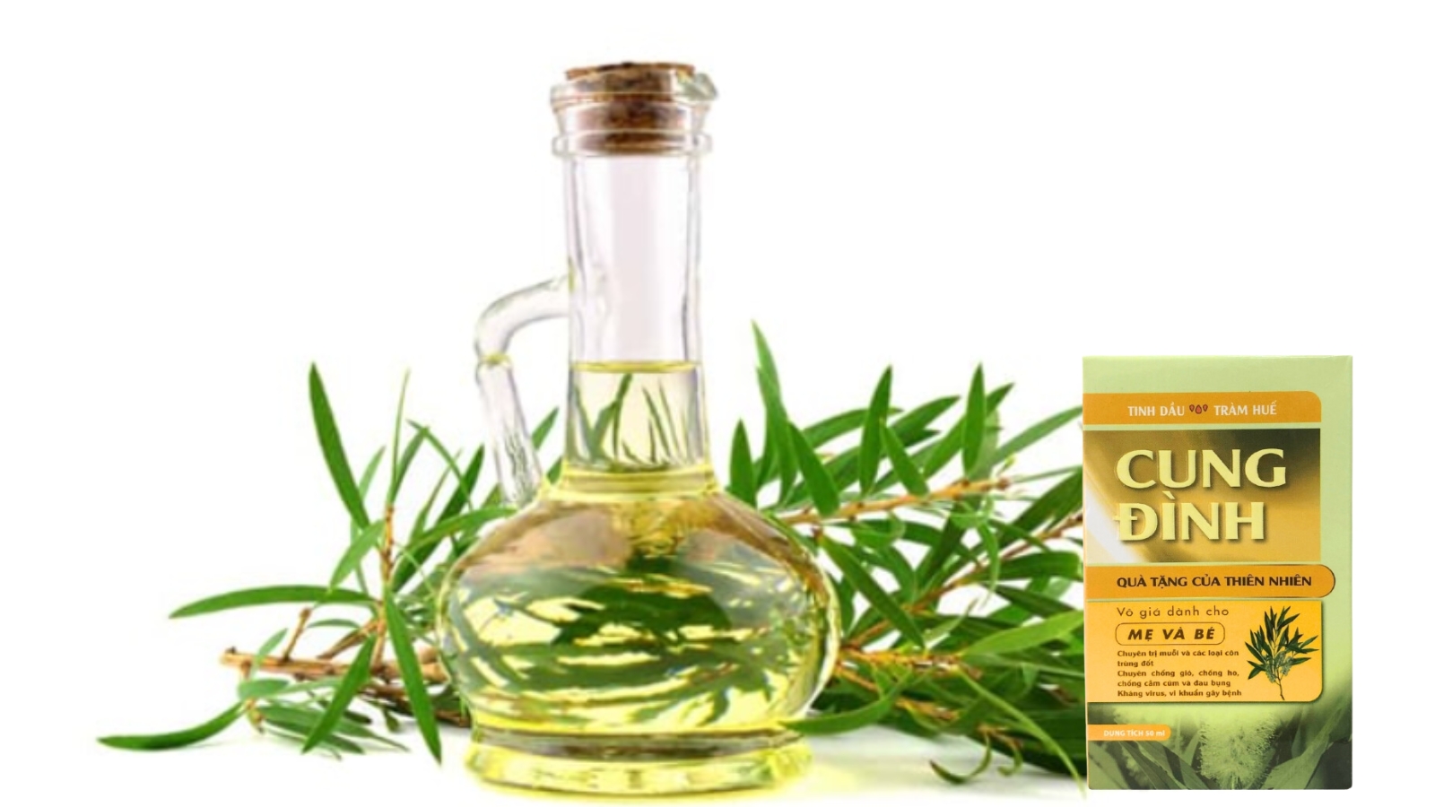 Tinh Dầu Tràm Huế Cung Đình