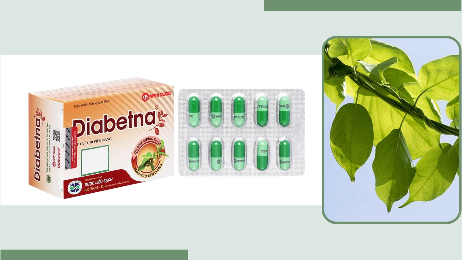 Trà Diabetna Hỗ Trợ điều Trị Tiểu đường