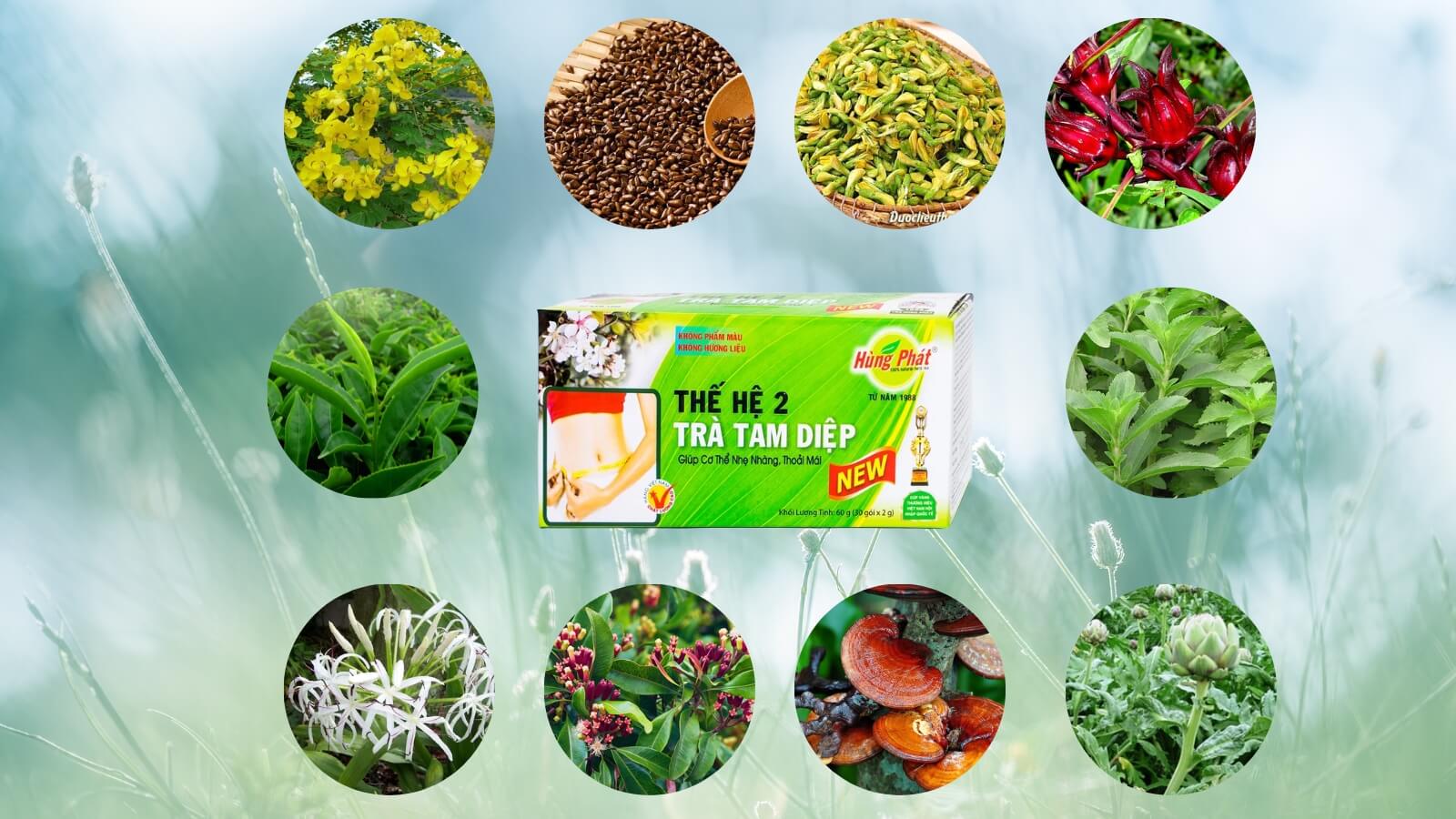  Trà giảm cân Tam Diệp Hùng Phát thế hệ 2  với thành phần chiết suất từ thiên niên.