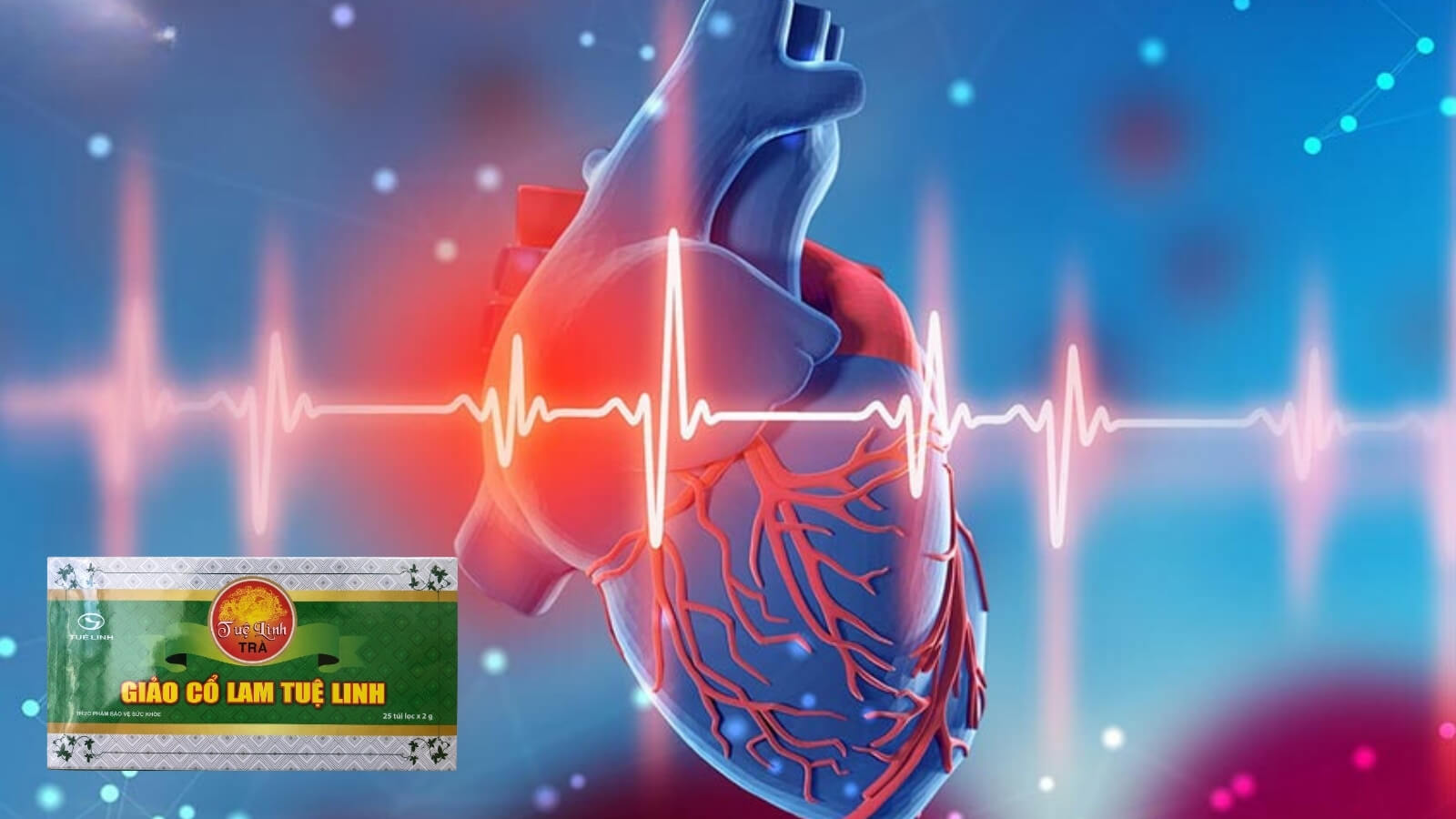 Giảo cổ lam có tác dụng to lớn đối với sức khỏe tim mạch