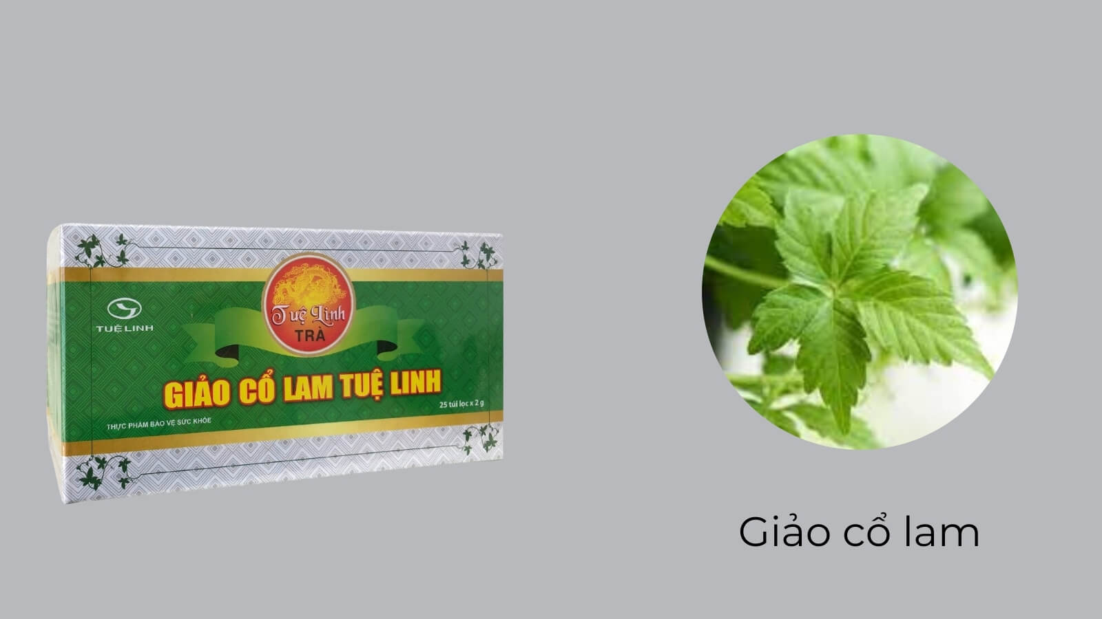 Sản phẩm với thành phần chính là chiết xuật 100% từ giảo cổ lam