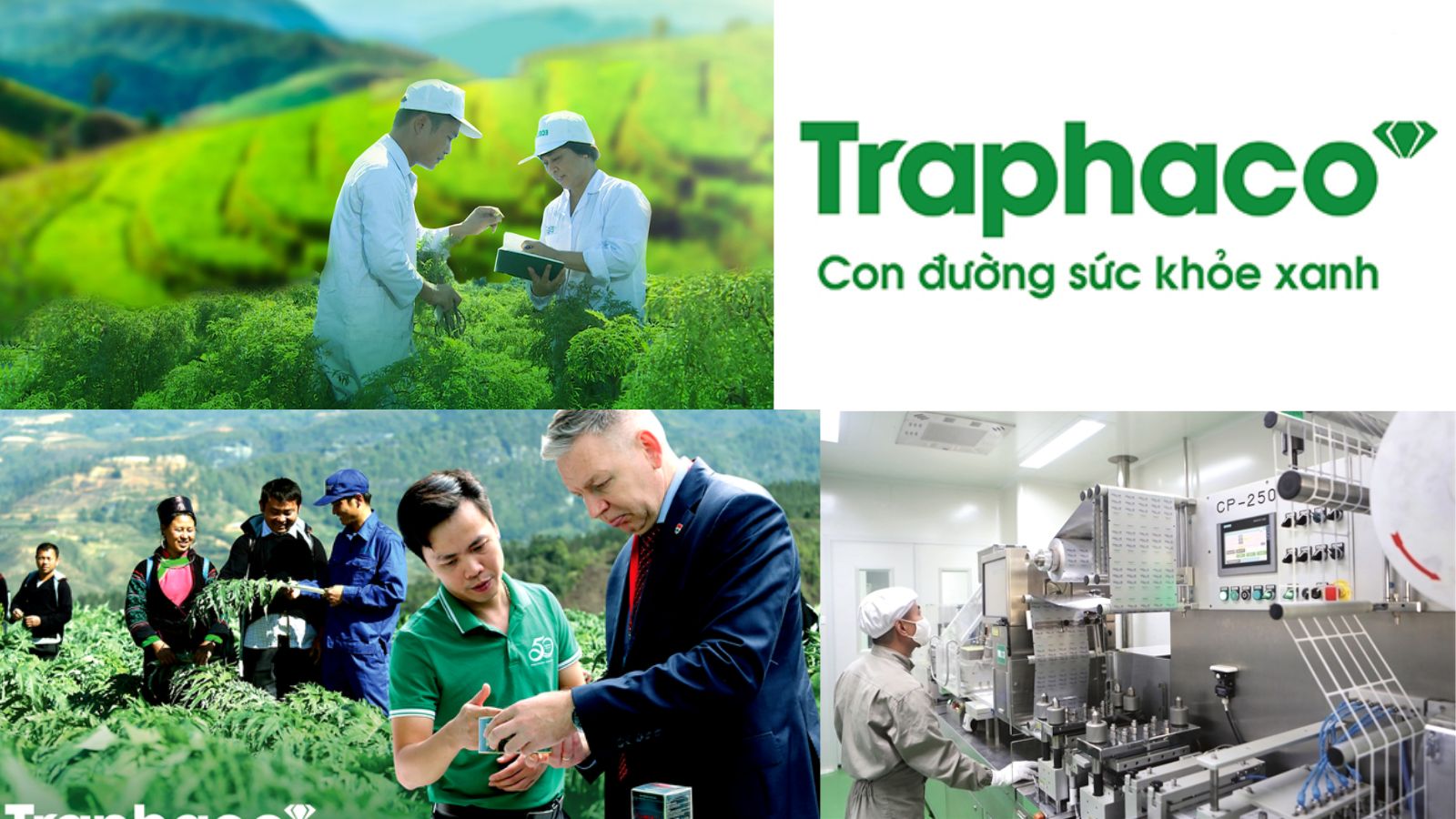 Trà thảo dược Boganic - 1 sản phẩm của Thương hiệu Traphaco