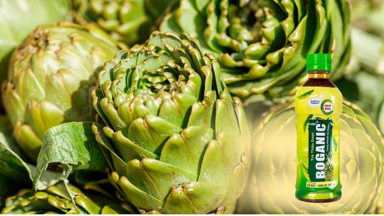 Trà thảo dược Boganic giải độc gan