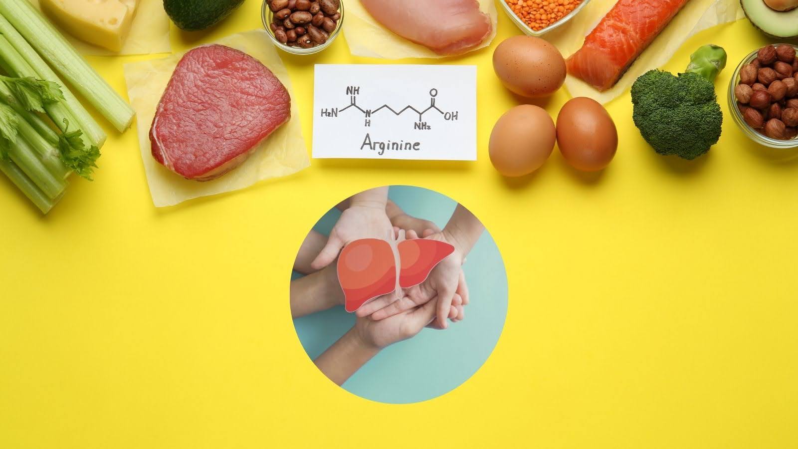 Arginine tham gia vào quá trình giải độc ở gan