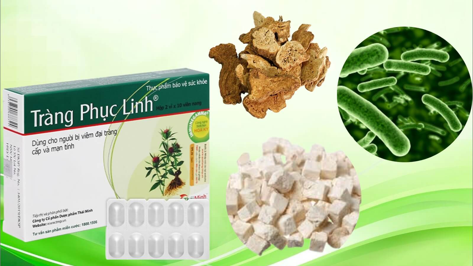 Tràng Phục Linh - Hỗ trợ giảm triệu chứng viêm đại tràng