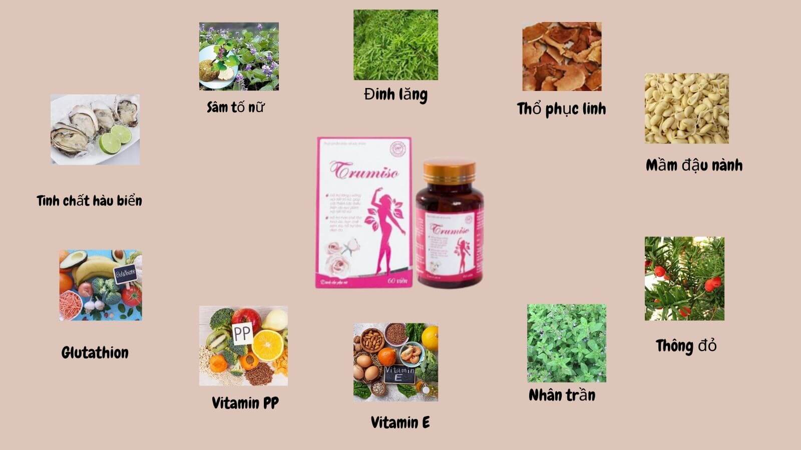    Trumiso chứa nhiều nhiều dưỡng chất
