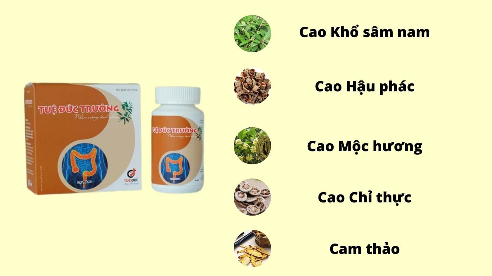 Tuệ đức trường hỗ trợ viêm đại tràng cấp và mạn tính