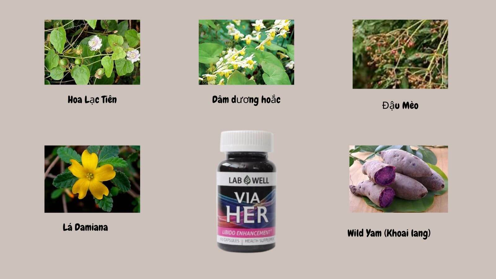    Via Her chứa các thảo dược thiên nhiên