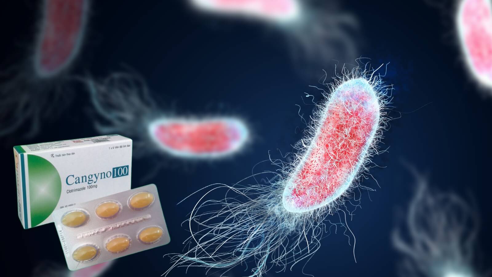 Thuốc Cangyno giúp điều trị viêm âm đạo, âm hộ do nhiều nguyên nhân