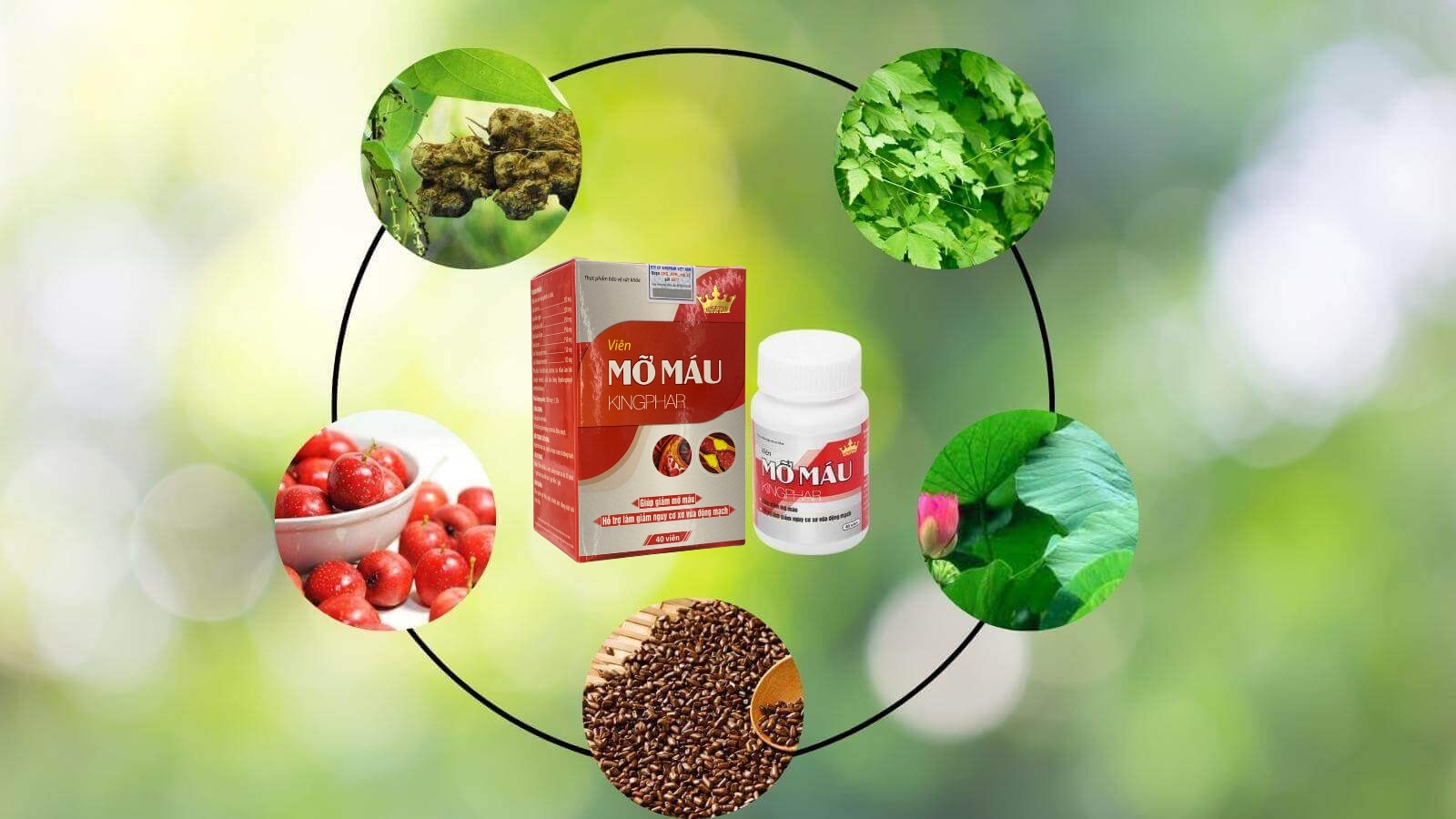 Mỡ máu Kingphar chứa các thành phần hoàn toàn từ thiên nhiên