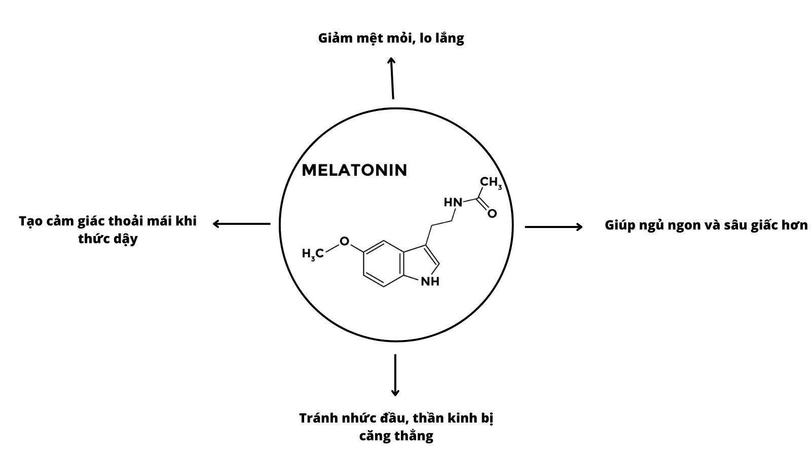 Vai trò của melatonin