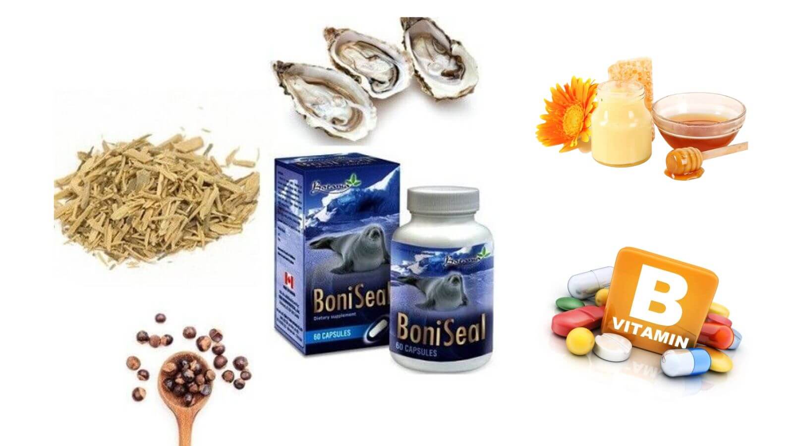 Boniseal Botania - Sự kết hợp hoàn hảo của tinh hải cẩu, hàu và vitamin thiết yếu