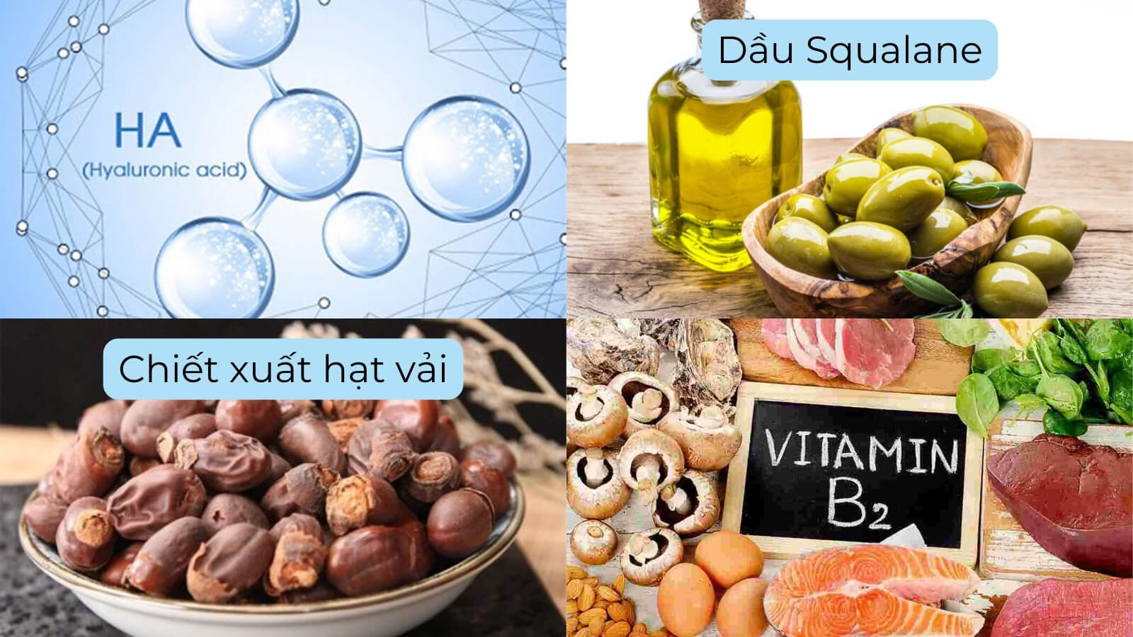 Thàn phần chính có trong viên uống cấp ẩm cho da DHC Hyaluronic Acid